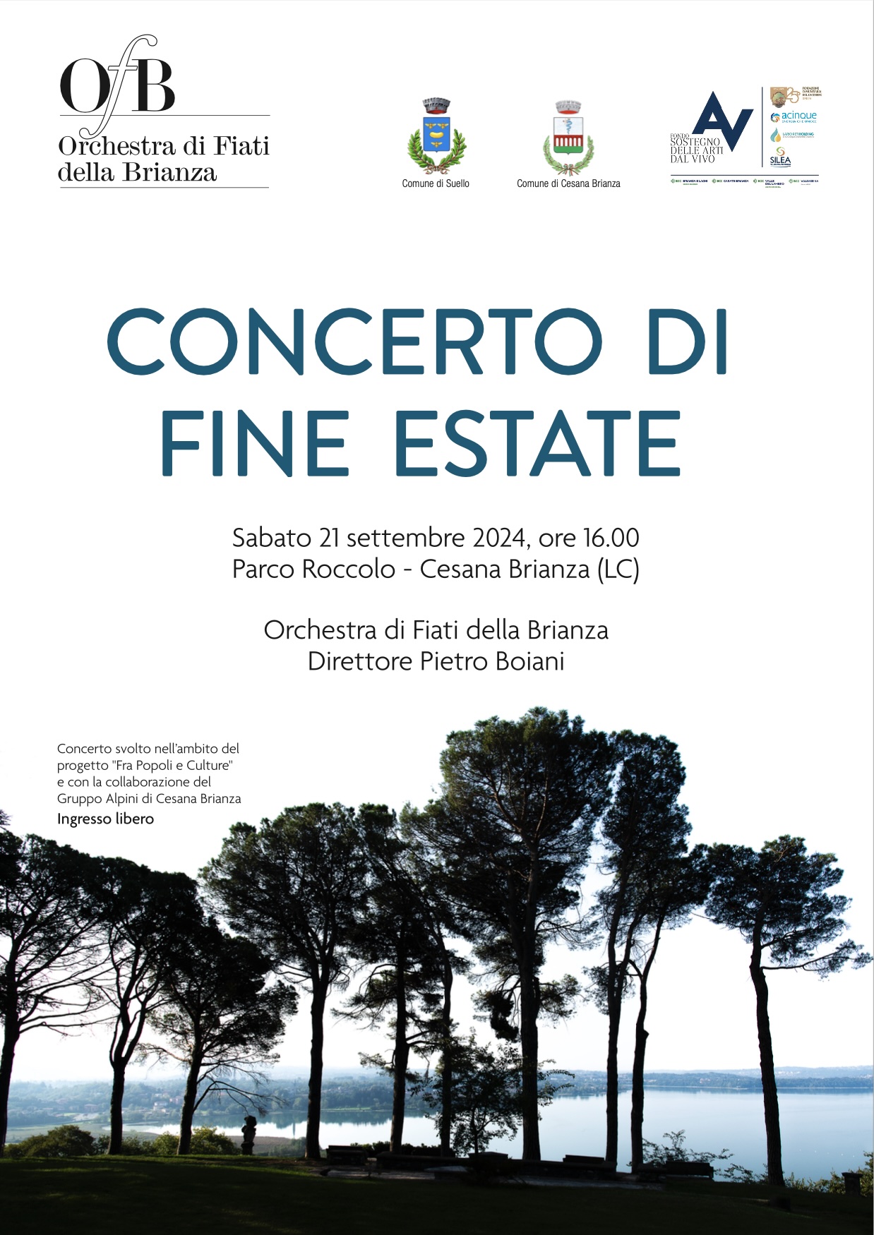 Locandina del concerto